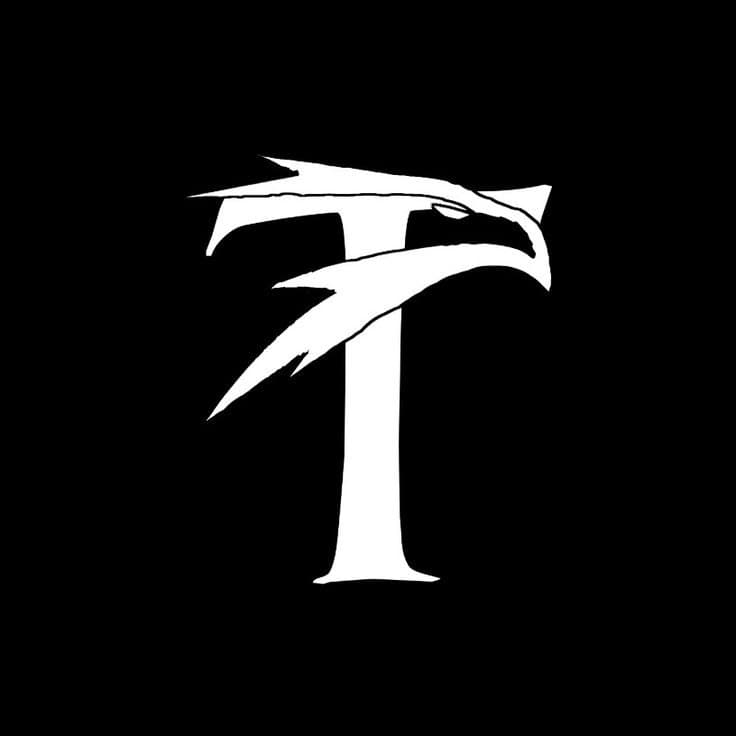 Transly project preview